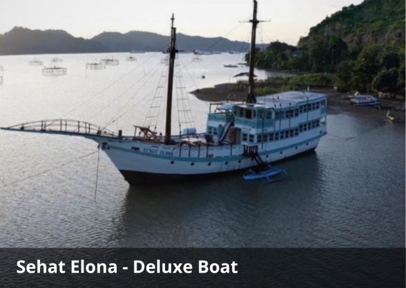Sehat Elona Komodo Luxury Cruise