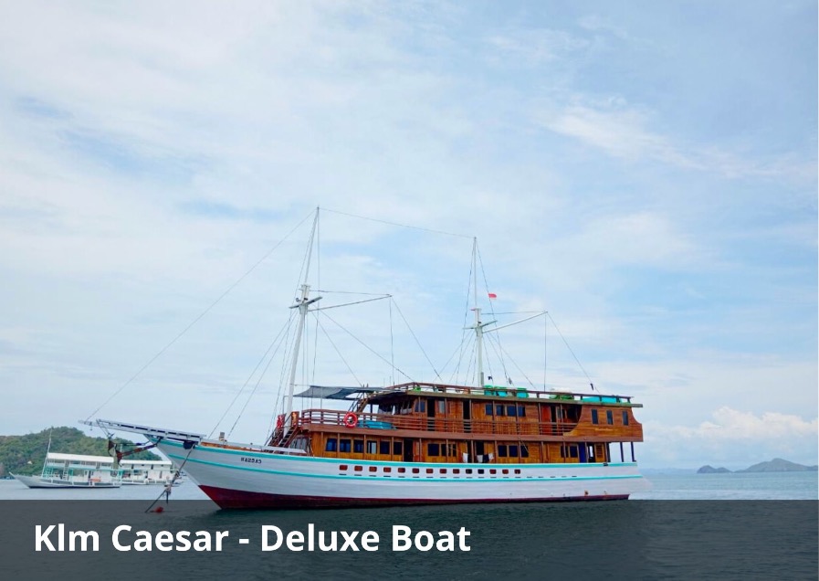 Klm Caesar Deluxe Komodo Cruise