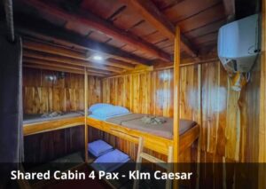 Shared Cabin (4 Guests)