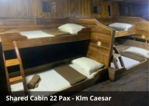 Shared Cabin (22 Guests)