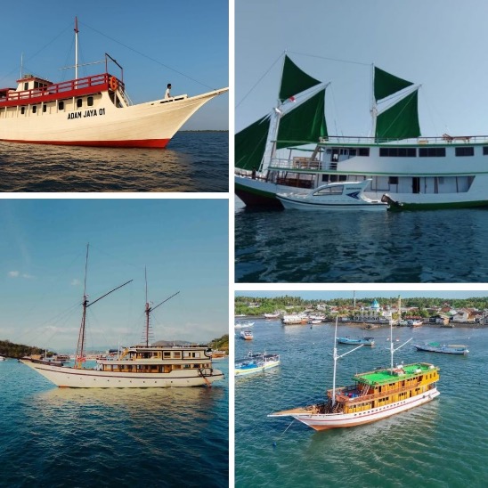 Komodo Tour 4 Days 3 Nights – Ultimate Sailing Adventure in Komodo