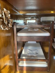 Shared Ocean View Cabin