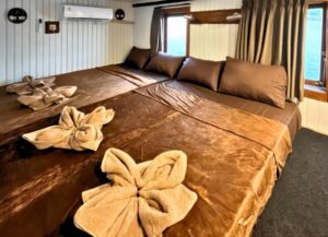 Shared Cabin