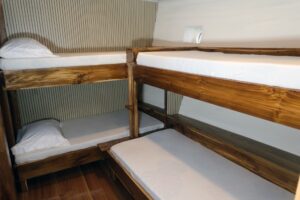 Dolphin Cabin