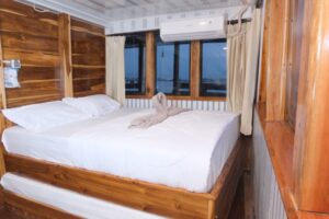 Whaleshark Cabin